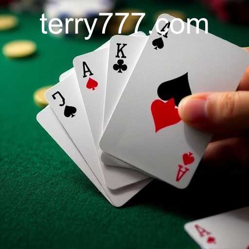777Terry.COM