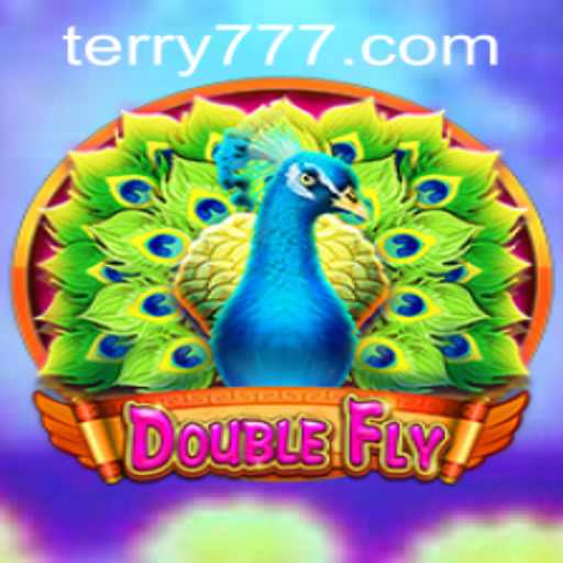 Dive into the Exciting World of DoubleFly: A New Gaming Phenomenon